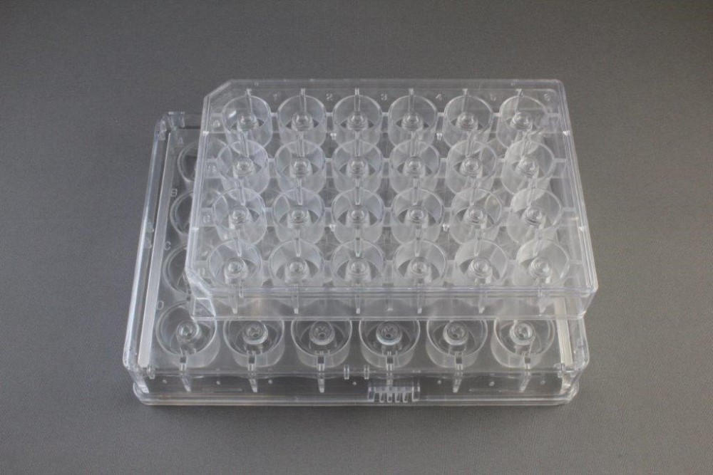 Hampton蛋白结晶试剂盒Cryschem Plate