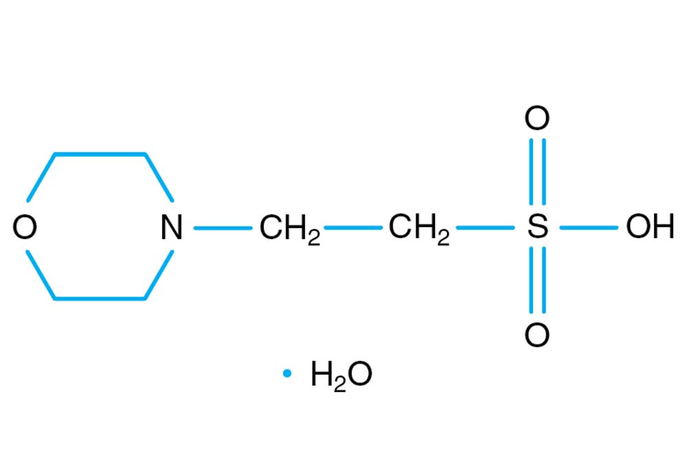 MES monohydrate Buffer