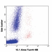 Alexa Fluor&reg; 488 anti-human CD64 Antibody