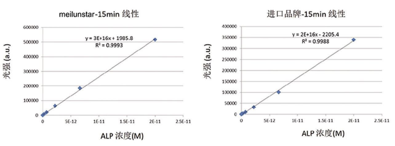 即用型CDP-Star 化学发光液（0.4mM,含增强剂）