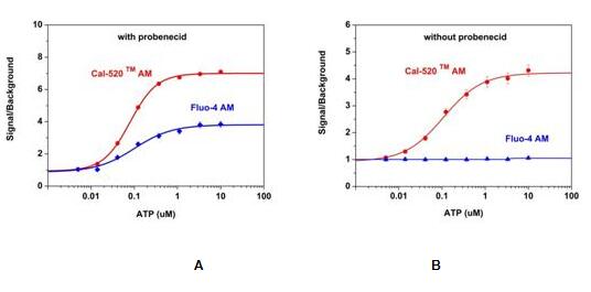 Rhod-2 AM钙离子荧光探针