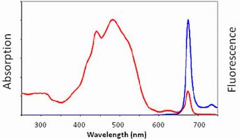 PerCP(多甲藻黄素-叶绿素-蛋白质 复合物)