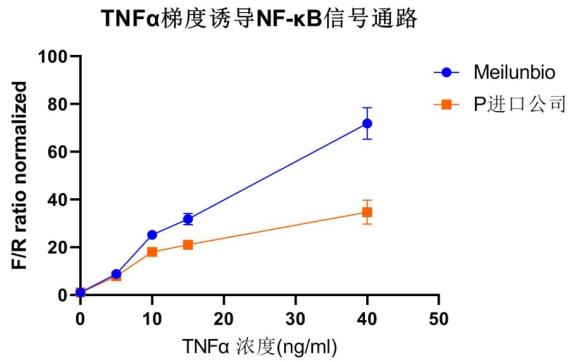 FIREFLY&RENILLALIGHT双萤光素酶报告基因检测试剂盒