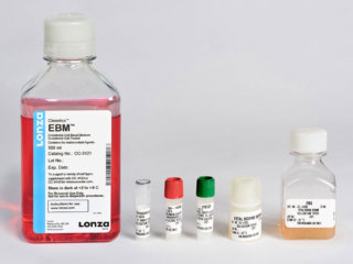 EGMTM-MV Microvascular Endothelial Growth Medium SingleQuotsTM Kit