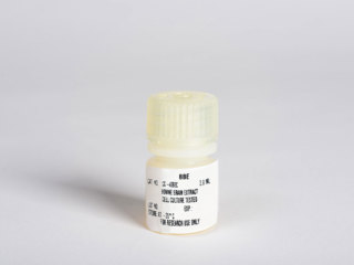 Bovine Brain Extract (BBE), 2 ml