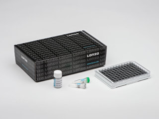 PrEC – Human Prostate Epithelial Cells