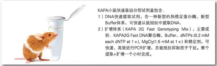 KAPA 小鼠基因分型试剂盒