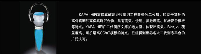 KAPA HiFi高保真甲基化文库扩增试剂