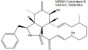 Cytochalasin B 细胞松弛素B 细胞骨架/马达蛋白