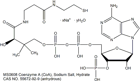 辅酶A钠盐水合物 维生素/辅酶