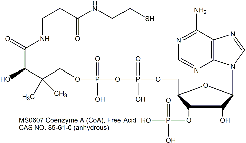 Coenzyme A  Free Acid 辅酶A 维生素/辅酶
