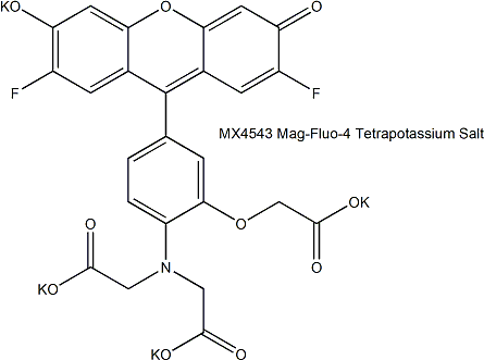 Mag-Fluo-4 镁离子荧光探针