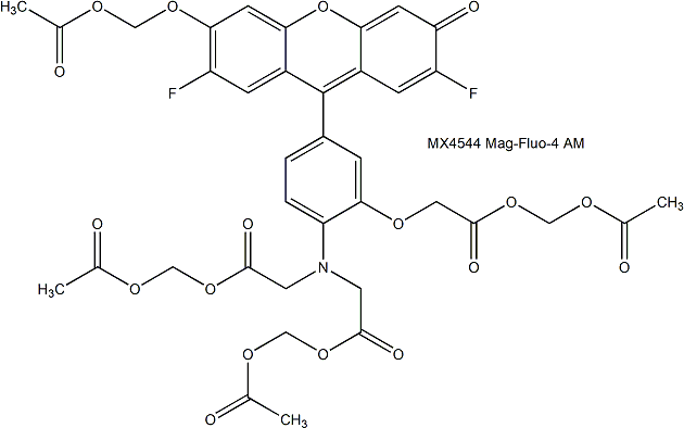 Mag-Fluo-4 AM, Cell 镁离子荧光探针