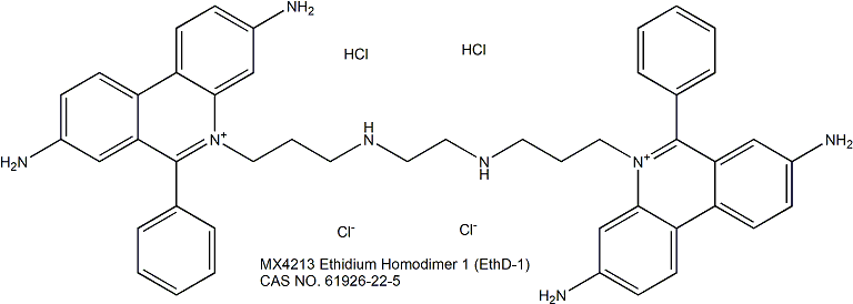 EthD-1 溴乙啡锭二聚体1