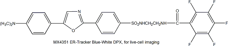 ER-Tracker Blue-White DPX 蓝色内质网探针