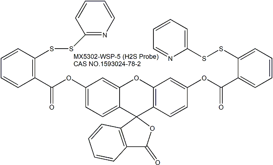 WSP-5 （H2S Probe） 硫化氢探针与细胞染色