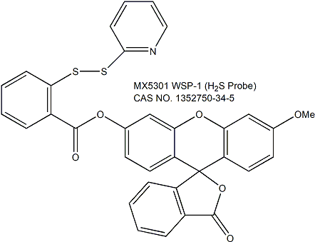 WSP-1 （H2S Probe） 硫化氢荧光探针与细胞