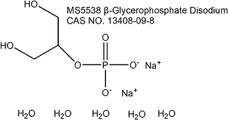 BGP β-甘油磷酸钠(13408-09-8)生化试剂