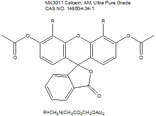 Calcein, AM 钙黄绿素（活细胞荧光探针）