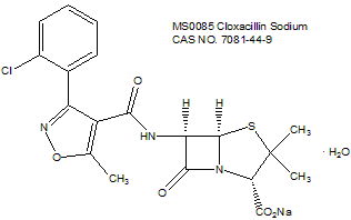 Cloxacillin Sodium 氯唑西林钠