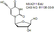 （EdU）5-乙炔基-2’-脱氧尿苷 细胞增殖