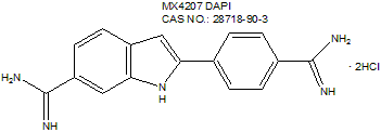 DAPI 蓝色细胞核荧光探针