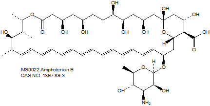 Amphotericin B 两性霉素B