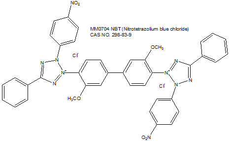 NBT 氯化硝基四氮唑蓝