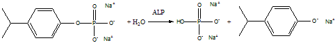 ALP Assay Kit  碱性磷酸酶检测试剂盒