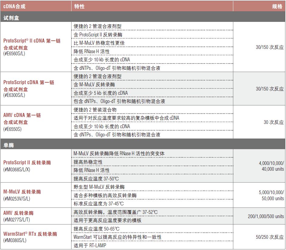 NEB代理 , RNA 试剂 , cDNA 合成