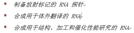 NEB代理 , RNA 试剂 , RNA 合成