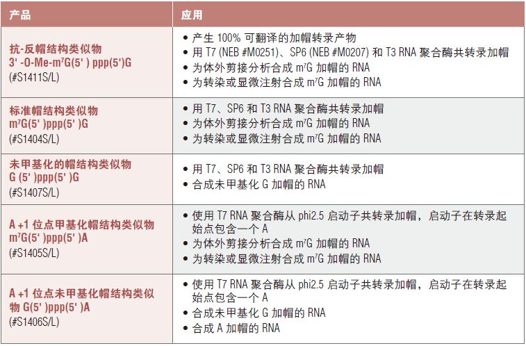 NEB代理 , RNA 试剂 , RNA 合成