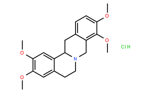延胡索乙素盐酸盐