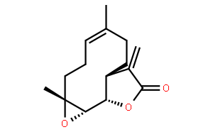 小白菊内酯