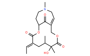 Senkirkine