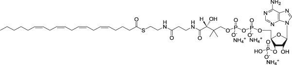 JinPan (5Z,8Z,11Z,14Z-二十碳四烯酰基)辅酶A(铵盐) CAS : 799812-93-4 Z130765